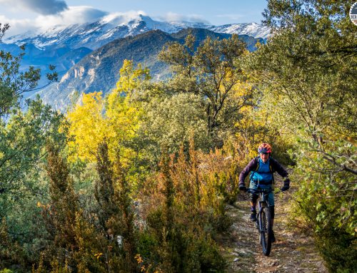 Crispy fall conditions